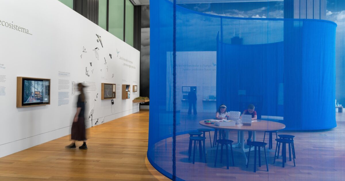 Sullivan Navillus Span | Flyway City: Architecture for a Flourishing Ecosystem